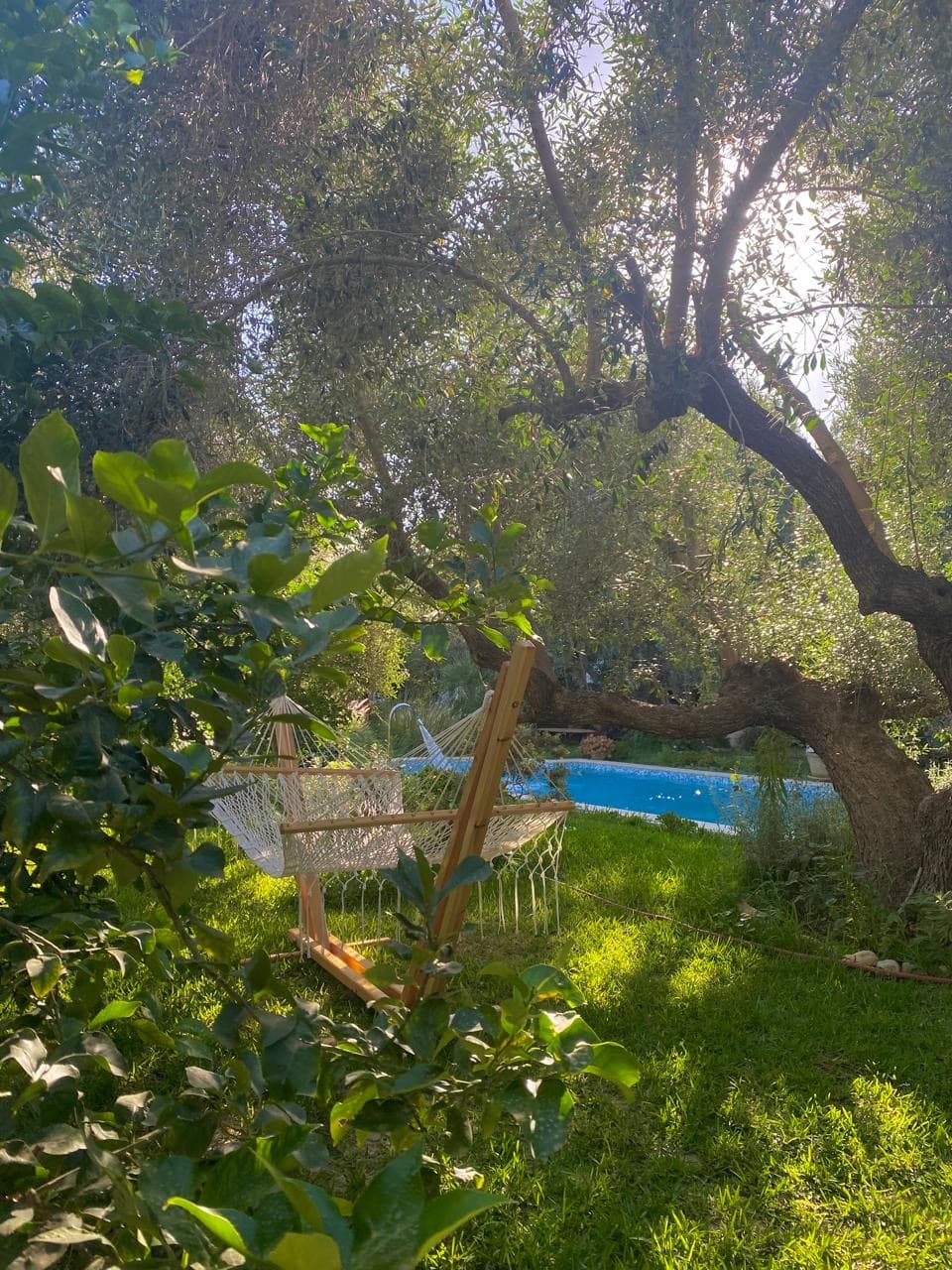 Hammamet - Dar Mama Daida - Villa Avec Piscine