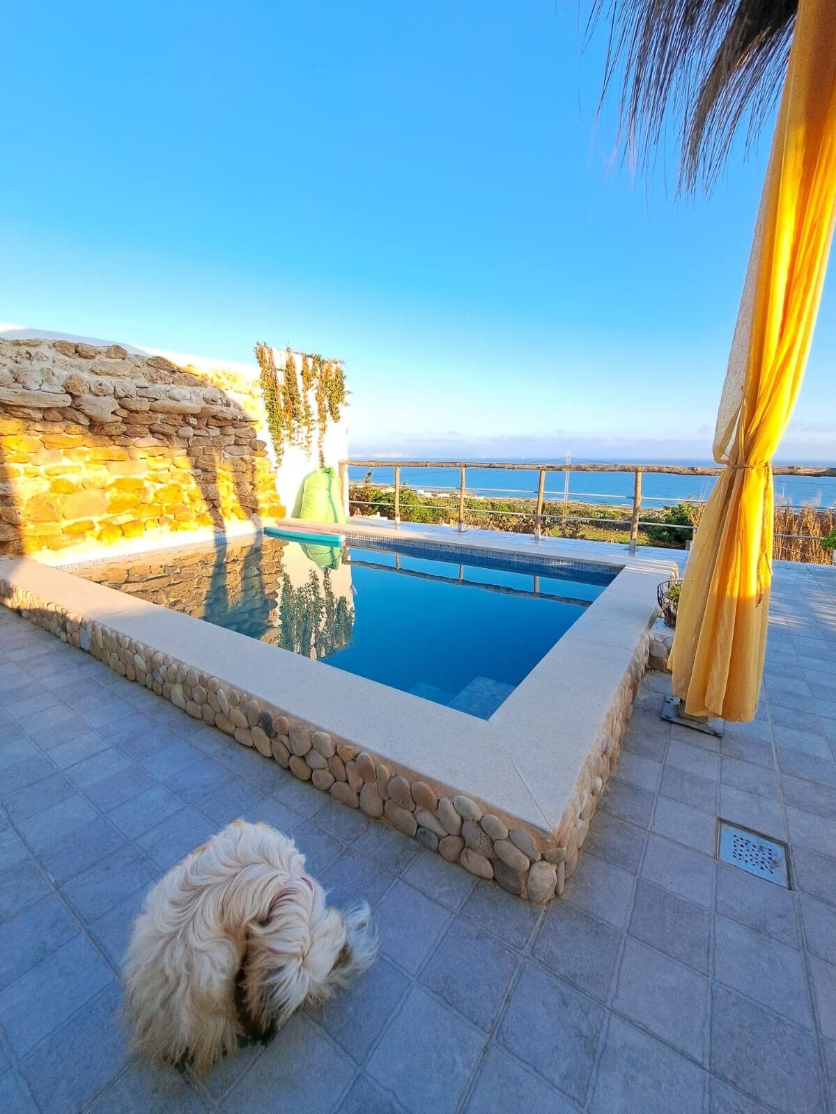 Dar Noussa - Maison de plage confortable avec piscine et jardin - 1